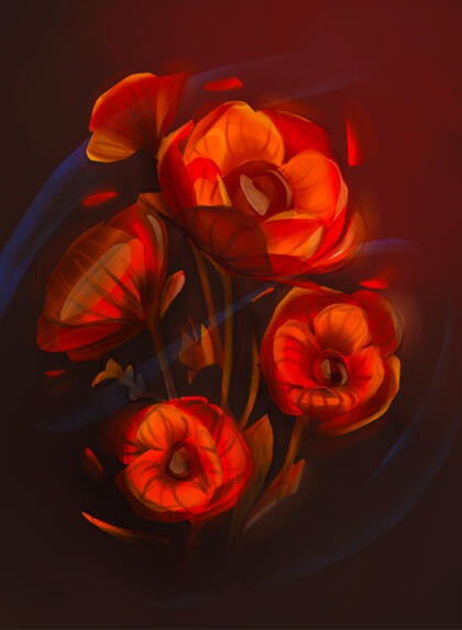 Poppy