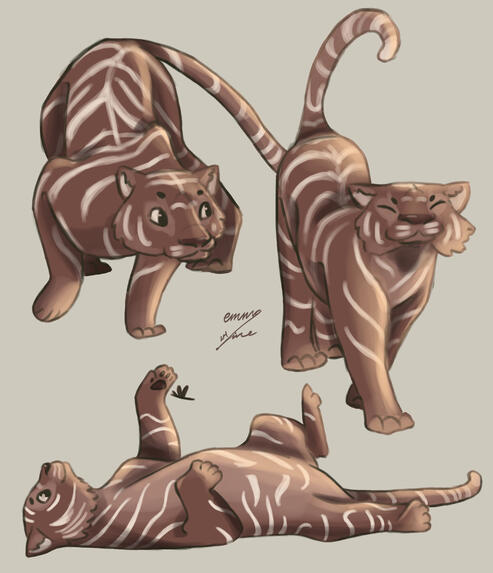 Chocolate Tiger