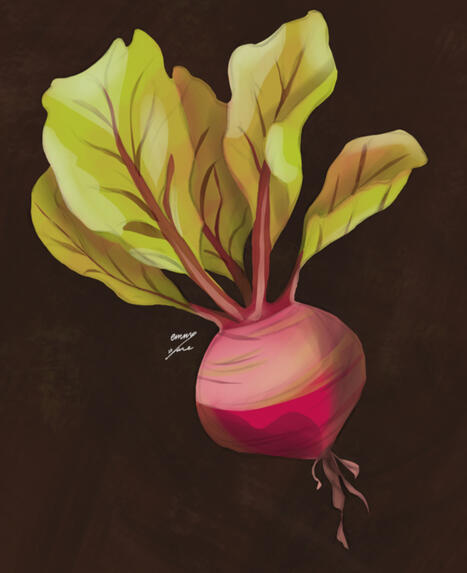 Radish