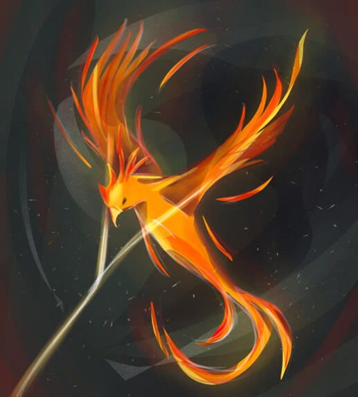 Kite